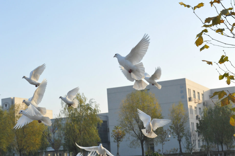 天津财经大学珠江学院